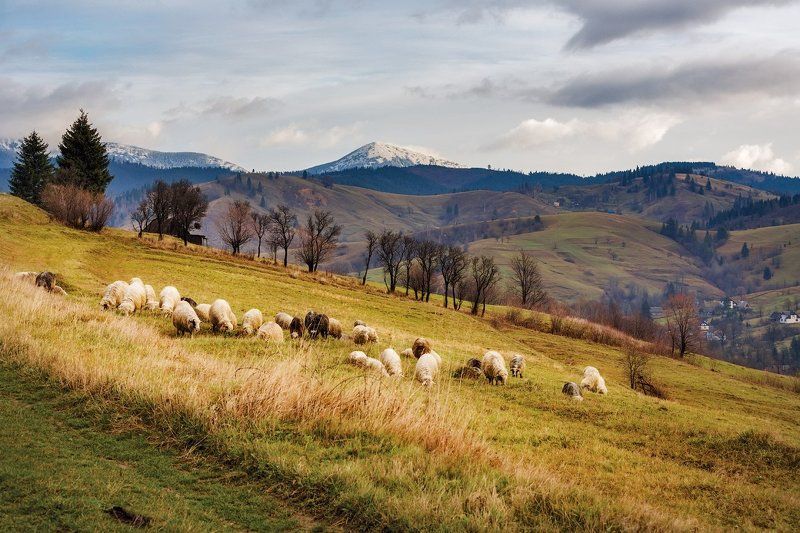 Проходя мимо фото превью