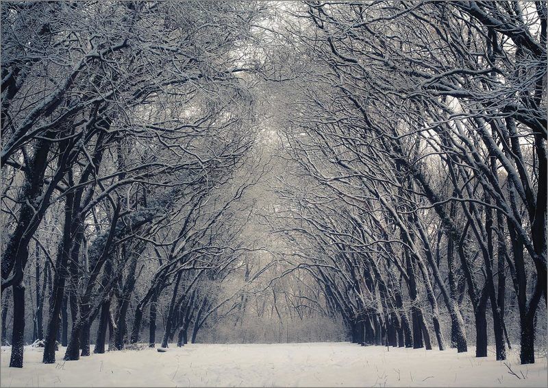 * фото превью