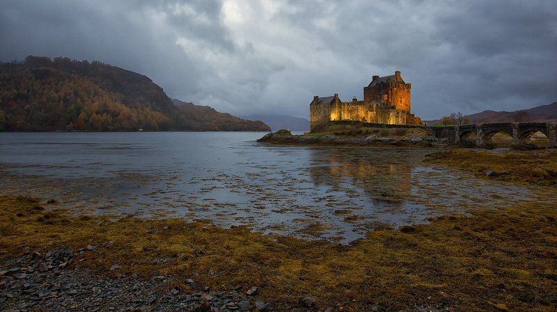 золото норвегии #9photo preview