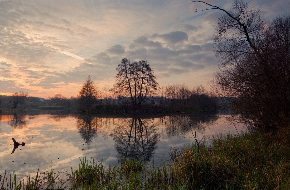 ***. Автор: Николай Шахманцир , Николай Шахманцир