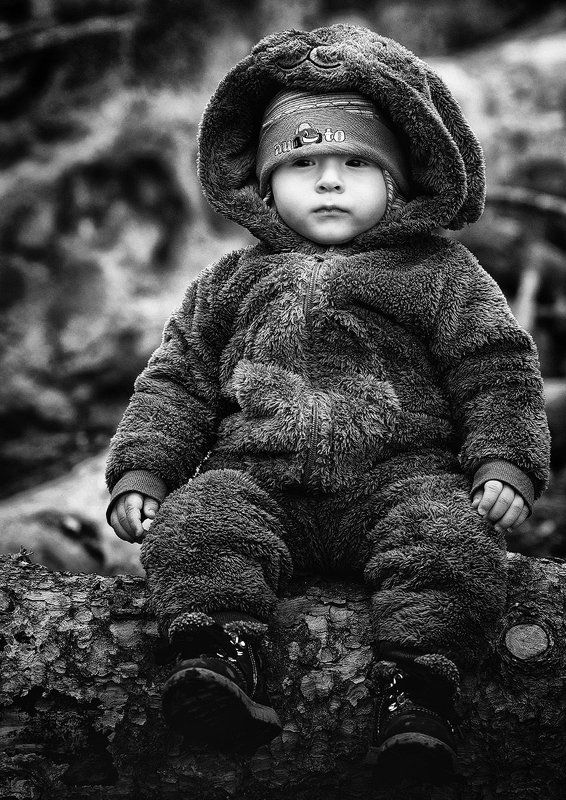 Медведь в лесу :)photo preview