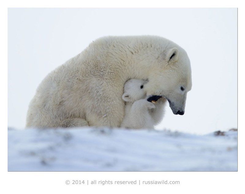 Играphoto preview