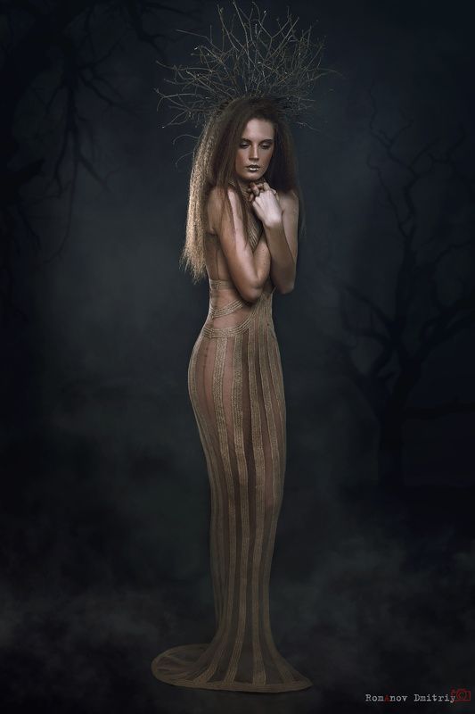 Forest Misteryphoto preview