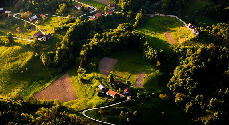 И тропинка, и лесок, в поле каждый колосок ! фото превью