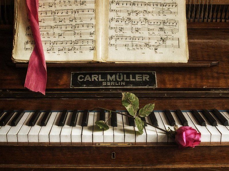 С последней розойphoto preview