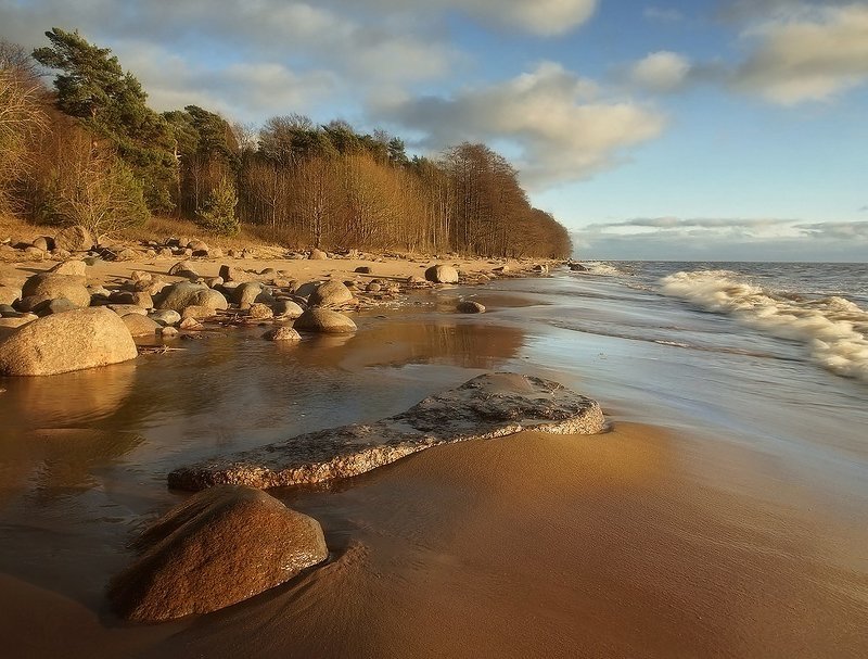 Вечер в ноябреphoto preview