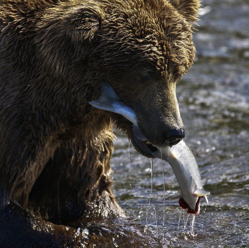 SURVIVAL OF THE FITTESTphoto preview