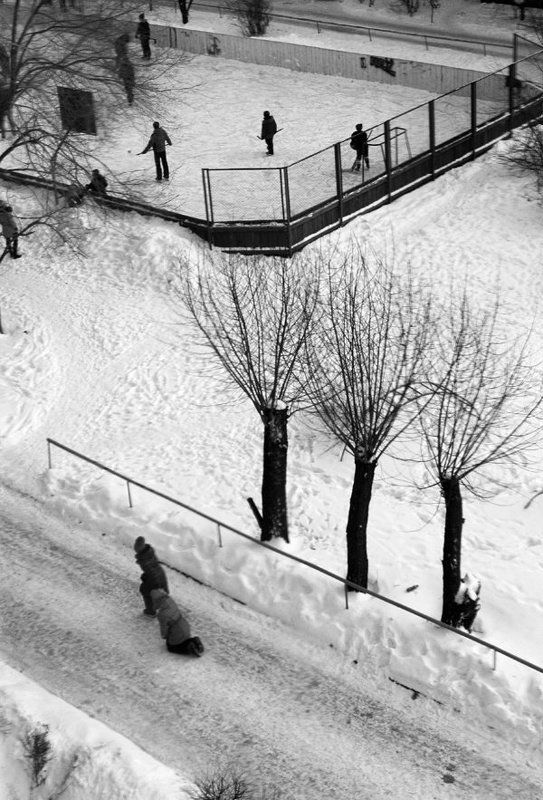 Дети, Игра, Спорт, Хоккей IIIphoto preview