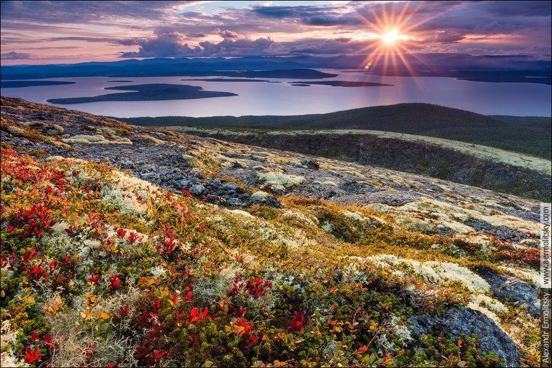 ~ Аку-Аку ~photo preview