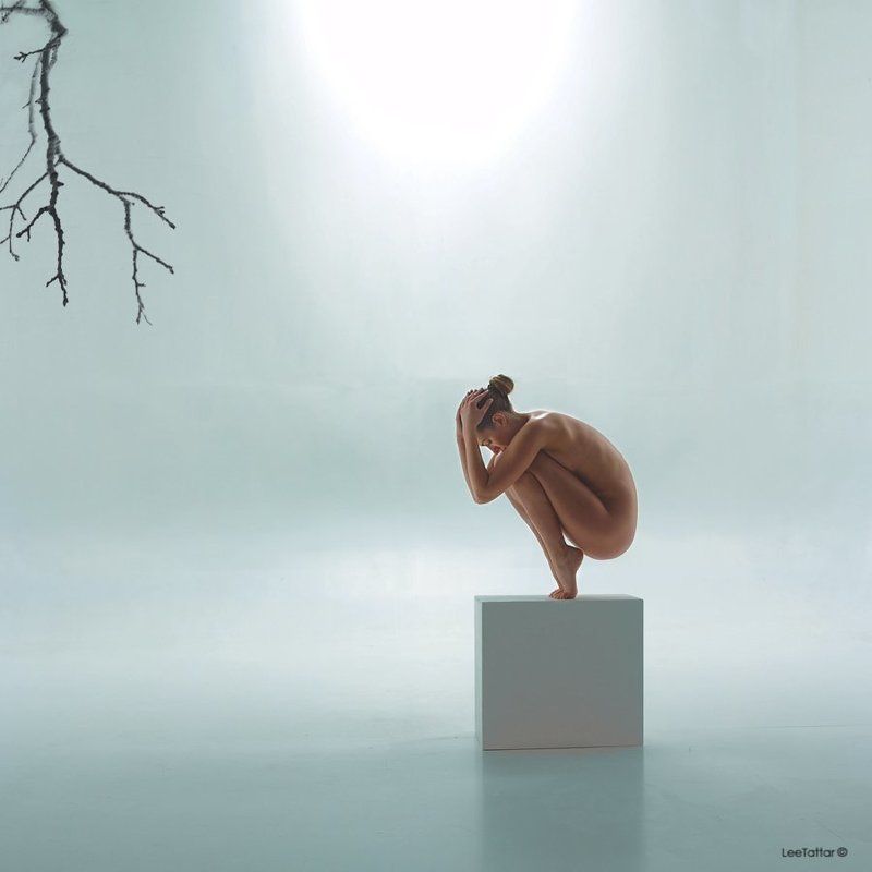 life onlyphoto preview