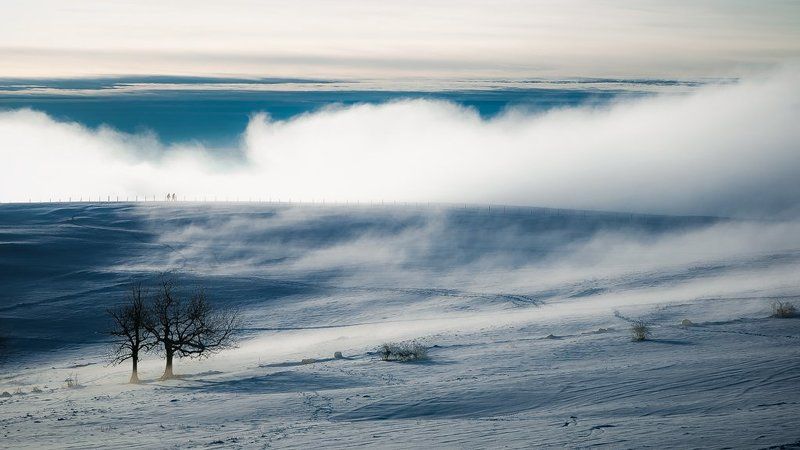 IN THE CLOUDphoto preview