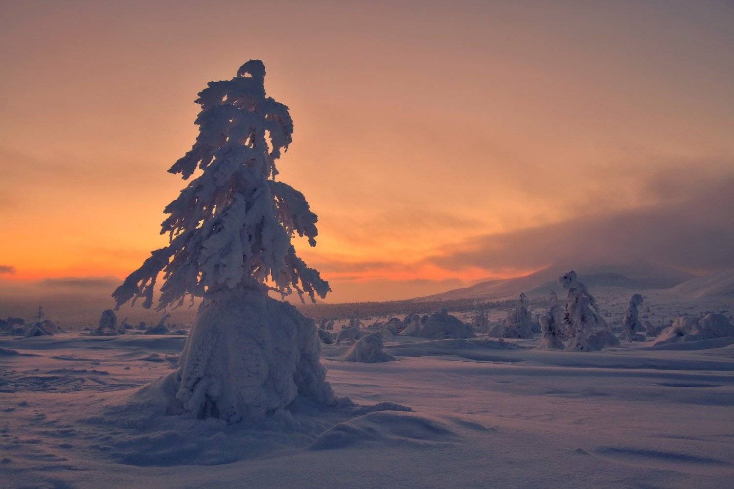 , Сергей Макурин