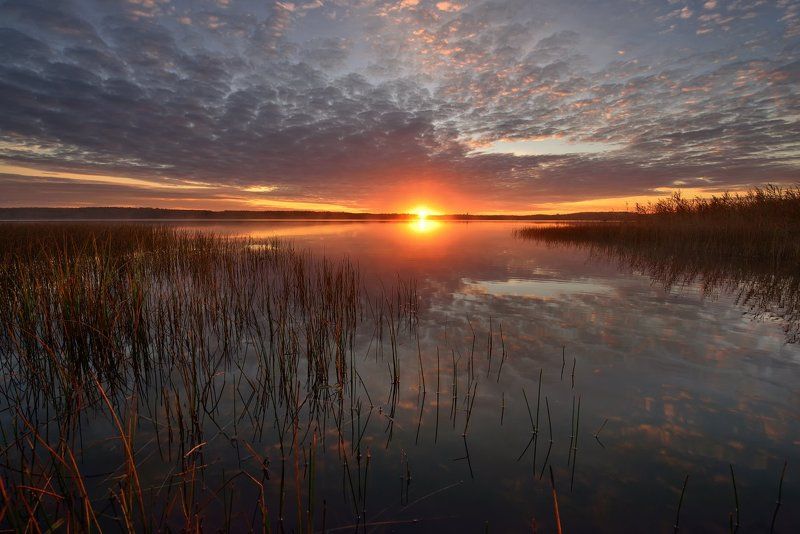 вашутино ***photo preview