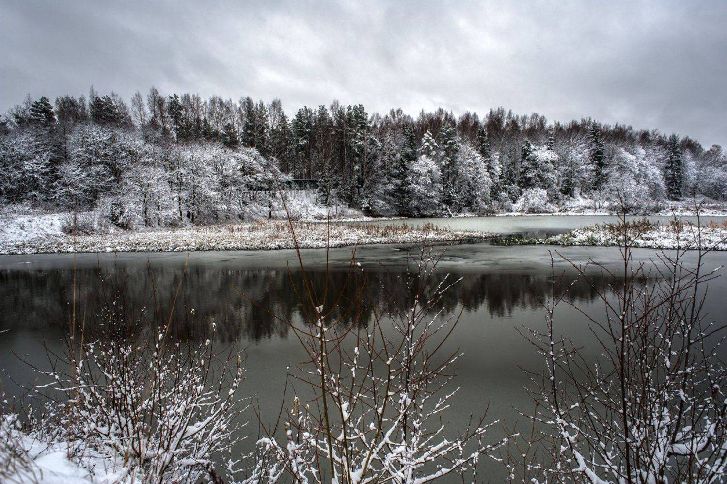 Первый снег. Автор: Евгений Цветков , Евгений Цветков