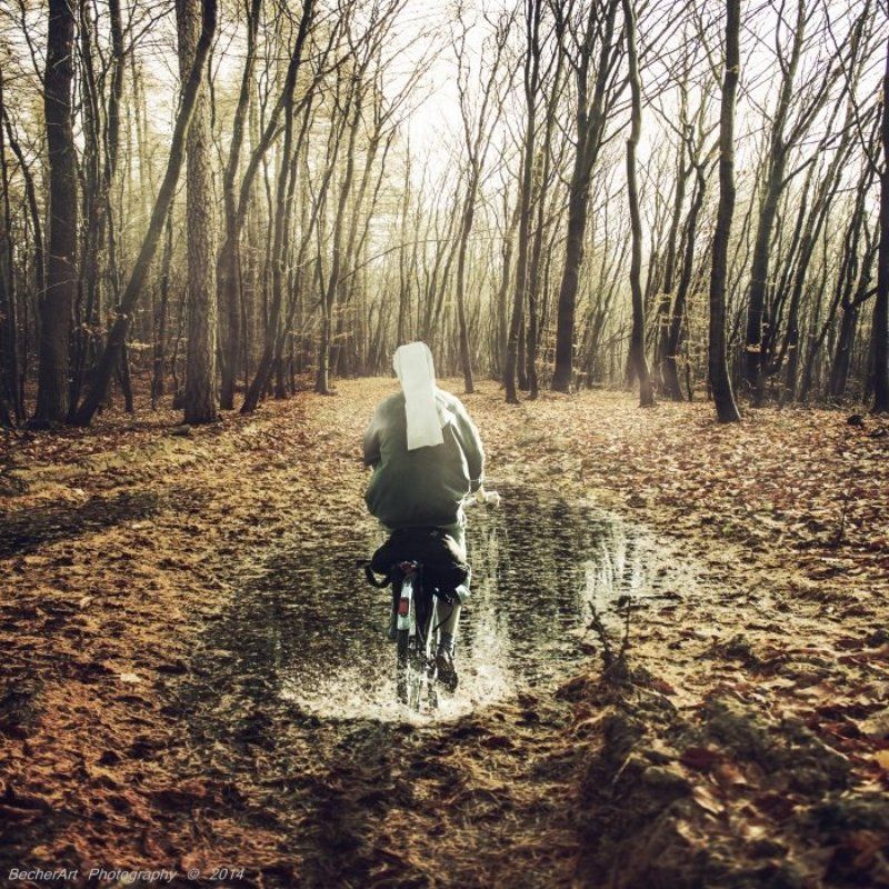 Liberté IIIphoto preview