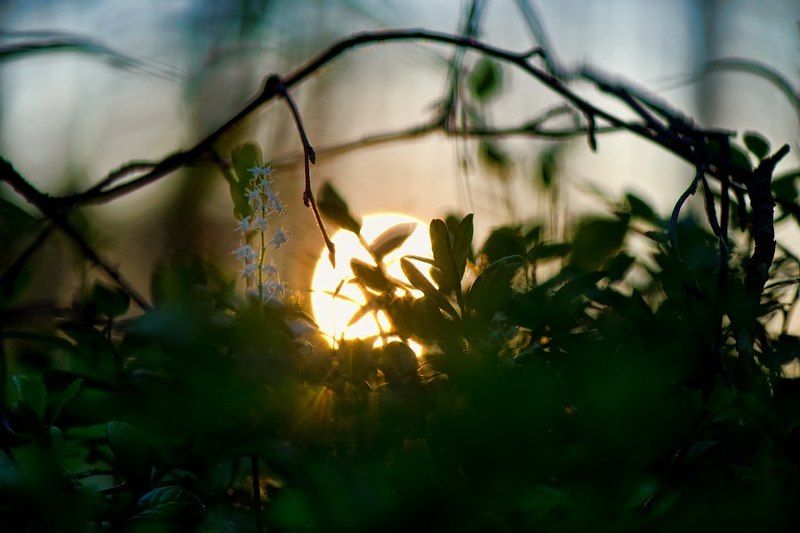 Миллионы медленных линийphoto preview