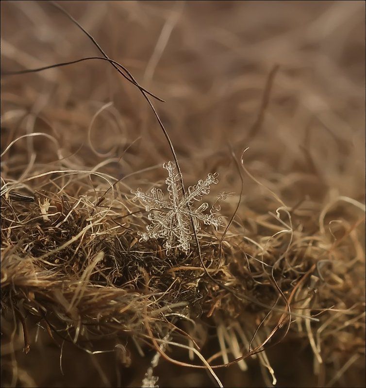 Небесные ошибки...photo preview