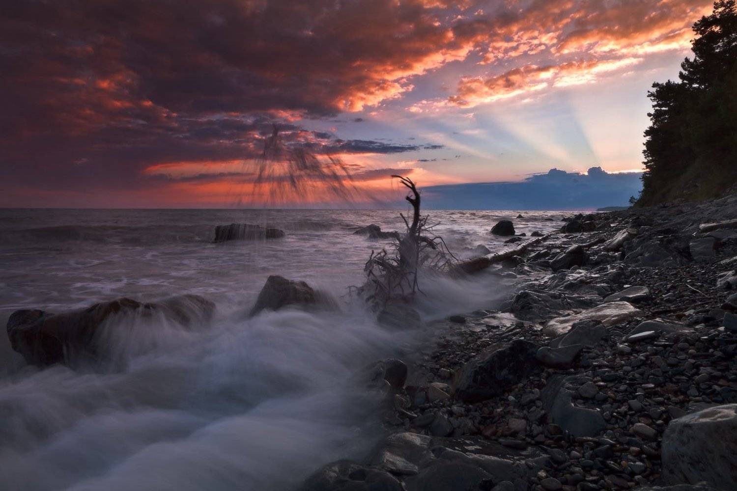 , Ирина Заграничная