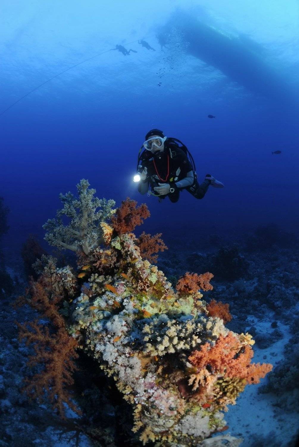 Погружение.. Автор: Сергей Шевчук , Сергей Шевчук