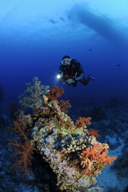 Погружение.photo preview