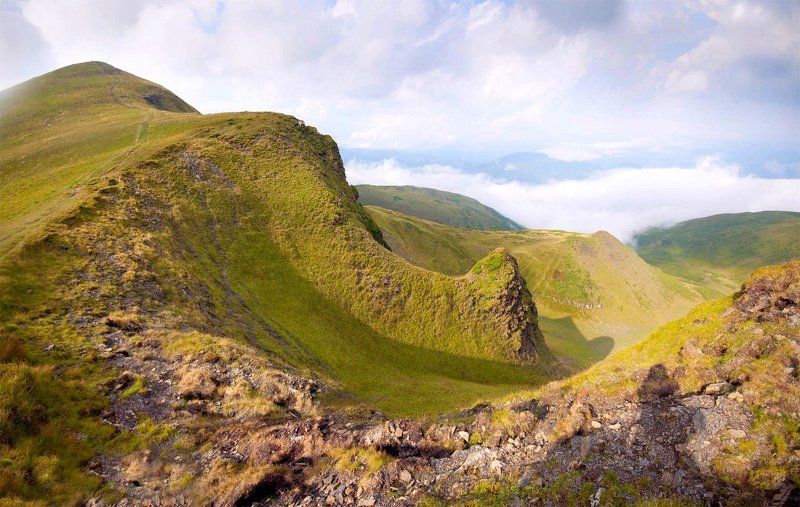 СНИ ВЕЛИКОГО СЛОНАphoto preview