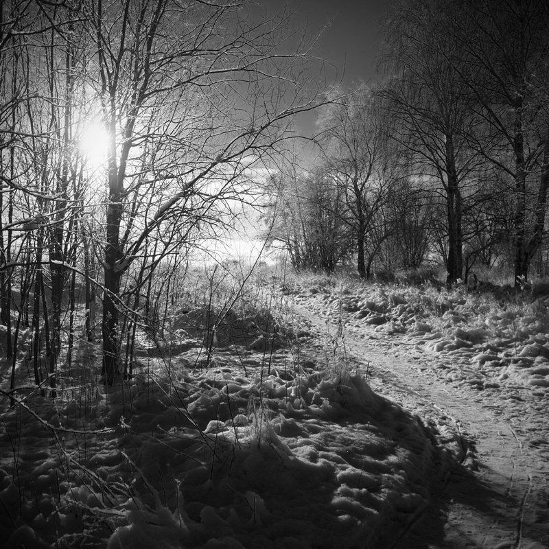 финский, залив ***photo preview