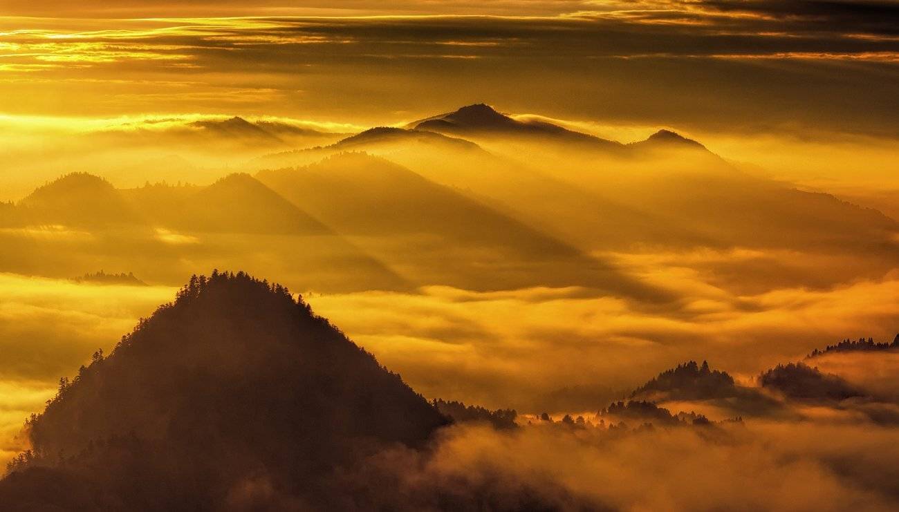 Morining in Pieniny. Автор: Pawel Uchorczak , Pawel Uchorczak