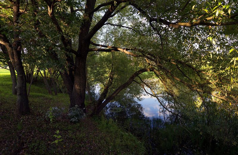 На самом юге Москвыphoto preview