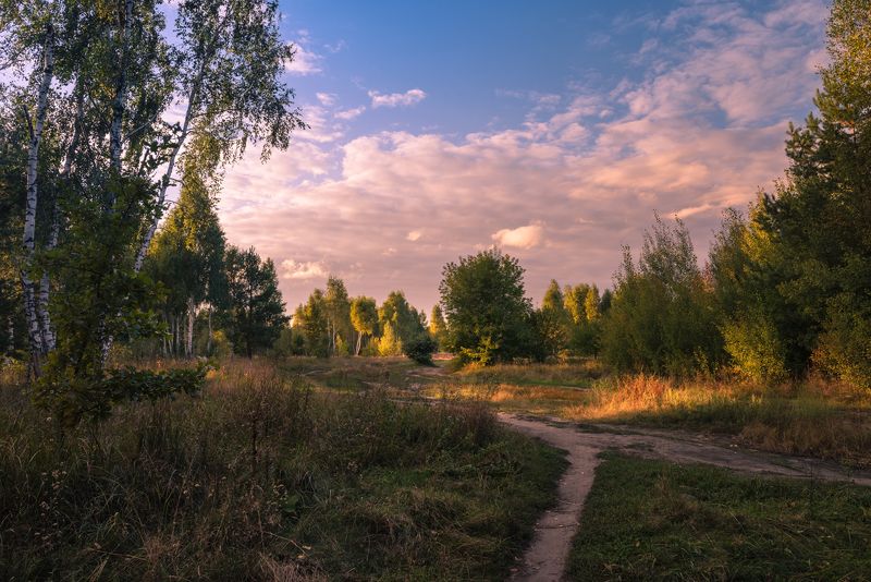луг, осень, сентябрь, вечер, закат Сентябрьский вечер догорает и месяц в небе выплываетphoto preview
