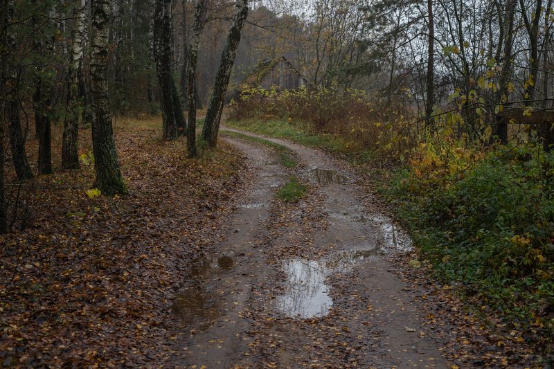 ноябрьская прогулка...photo preview