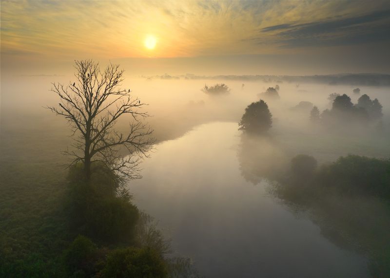 Sunricephoto preview