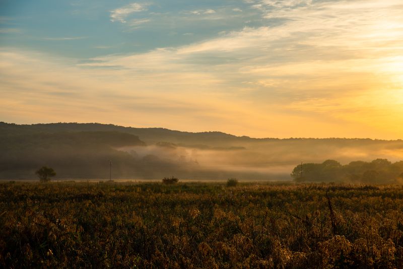рассвет, пейзаж, туман, поле, осень Утро туманное фото превью