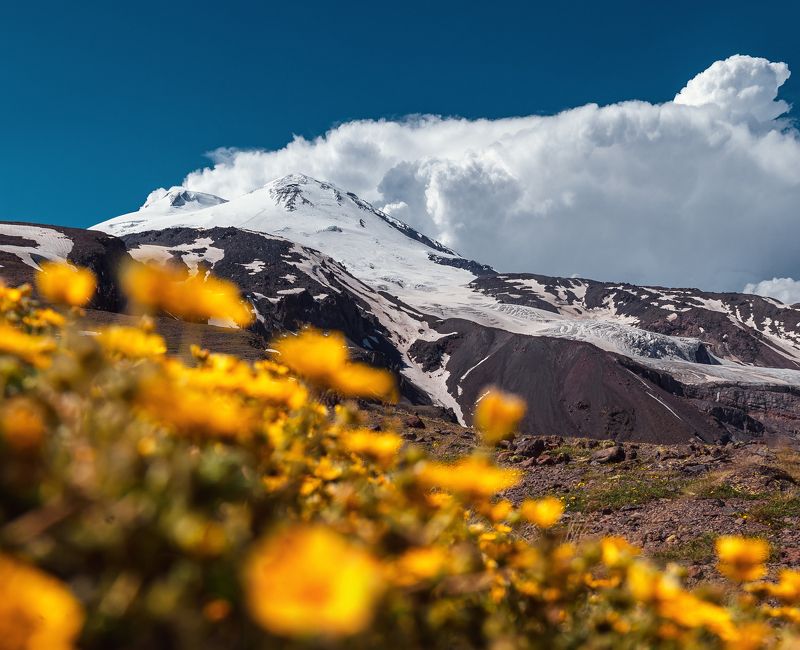 Эльбрус, пейзаж, Elbrus Эльбрусphoto preview