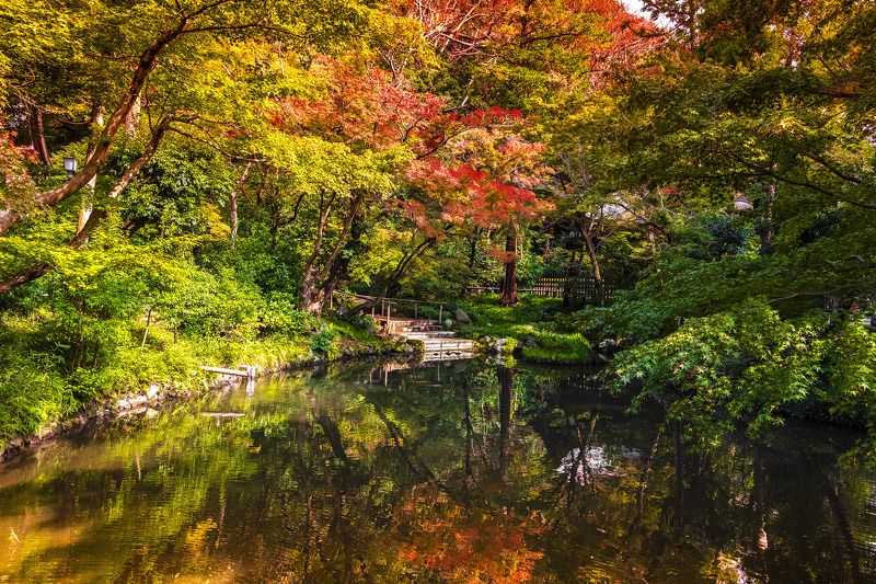 река, день, пейзаж, парк, осень Сентябрь фото превью