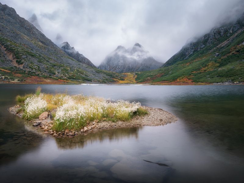 колыма, осень, озероджекалондона Колымская пушицаphoto preview