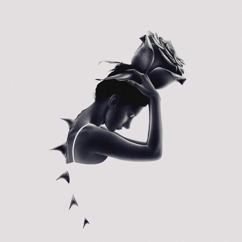 silhouette,dark,light,conceptual,art,fine art,creative edit,portrait,rose,thorns,arm,hand,surreal,minimalism A Rose Among The Thornsphoto preview