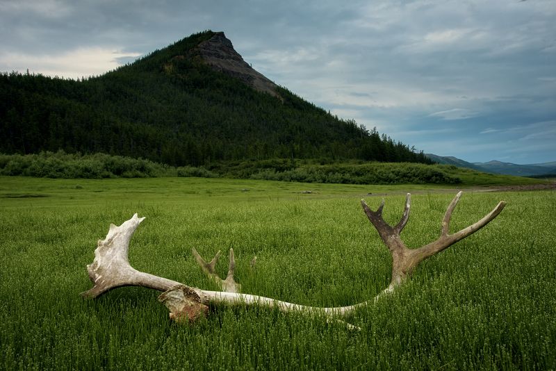 *** фото превью