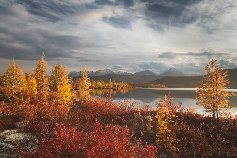 Колыма, Магадан, озеро Джека Лондона, осень Вечер на озере Джека Лондонаphoto preview