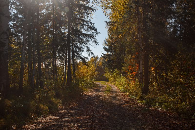 Осенняя прогулка фото превью