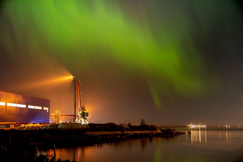 aurora, north, winter, frost, night, nightlights, sky, nightsky, light photo preview