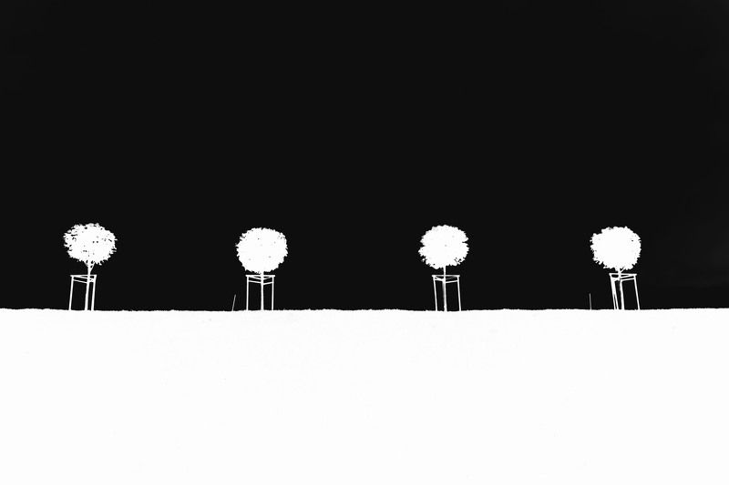 One two treephoto preview