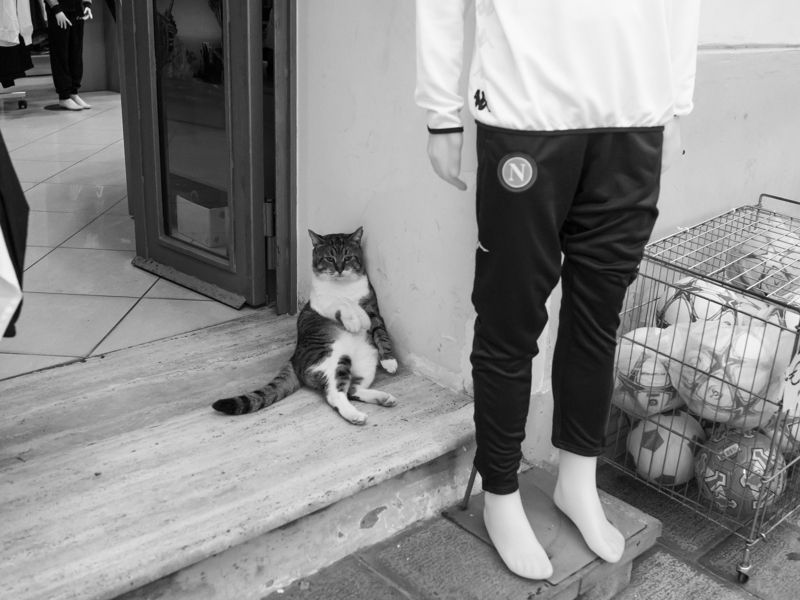 Невыносимая легкость бытияphoto preview