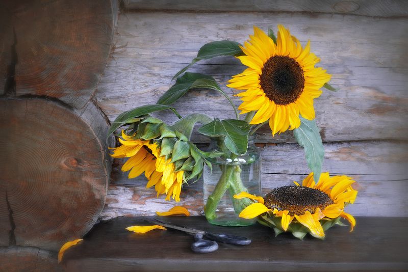 ПодСолнечный райphoto preview