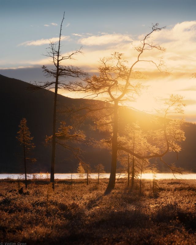 озероджекалондона, пурга, магадан, колыма Обитатели озера Джека Лондонаphoto preview