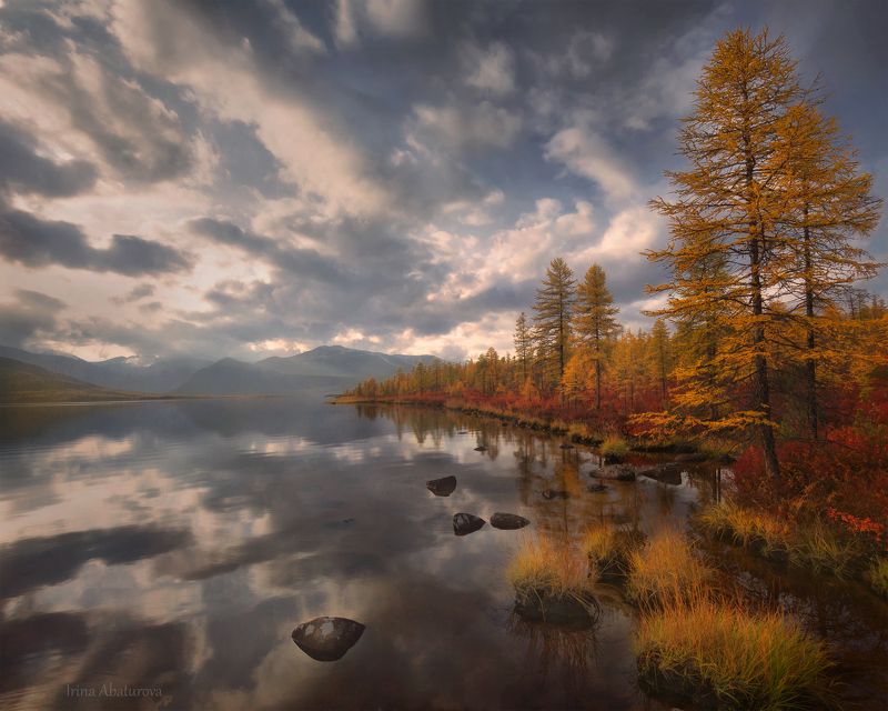 Колыма, Магадан, озеро Джека Лондона, осень Свежий ветерphoto preview