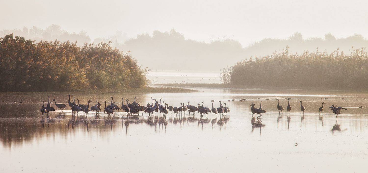 , Григорий Крамаренко