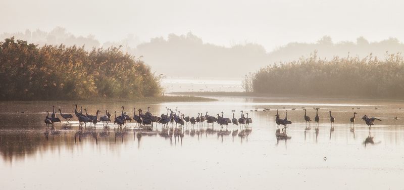 Crane\'s Lakephoto preview