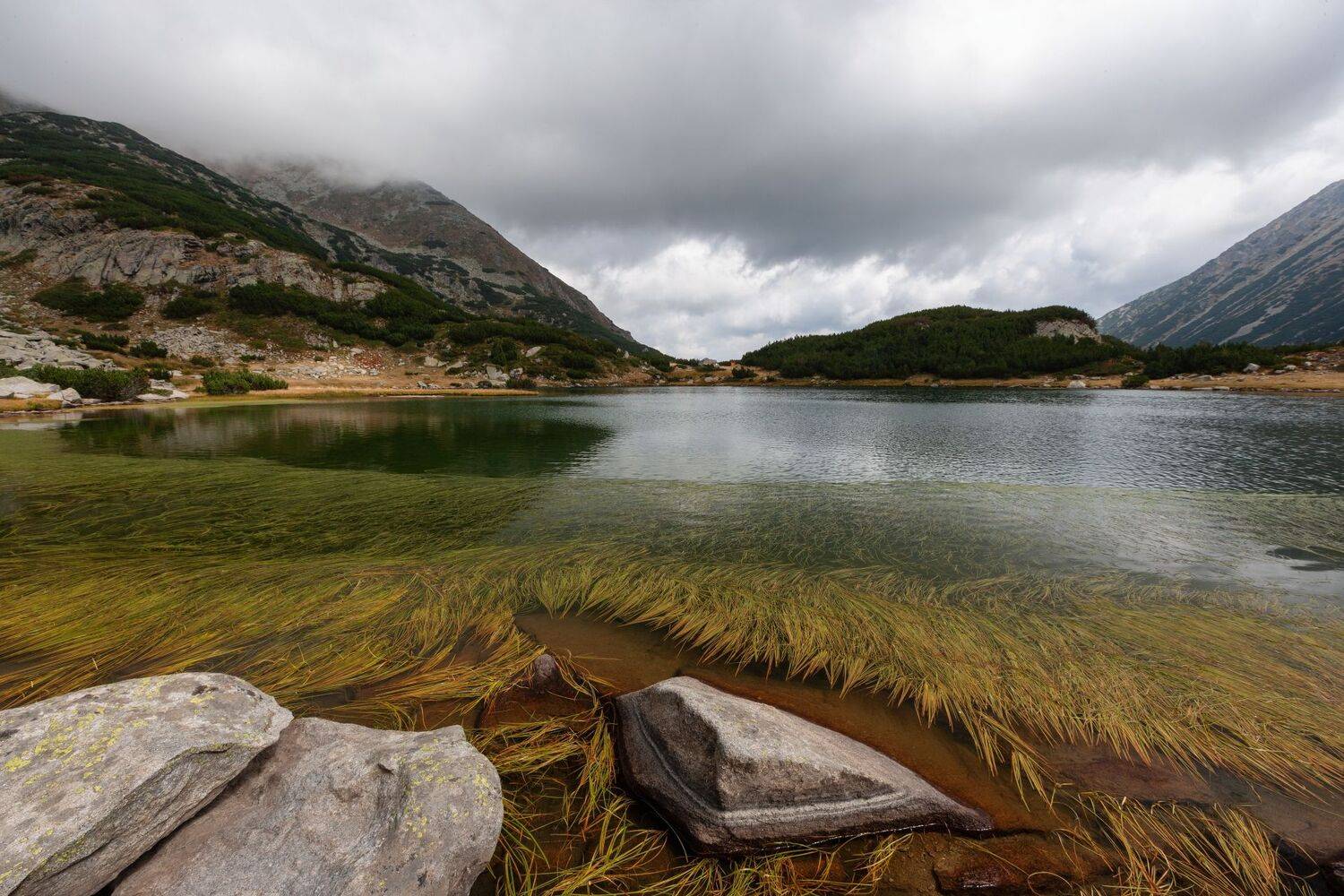 Конец лето. Автор: Александър Сандев , Александър Сандев