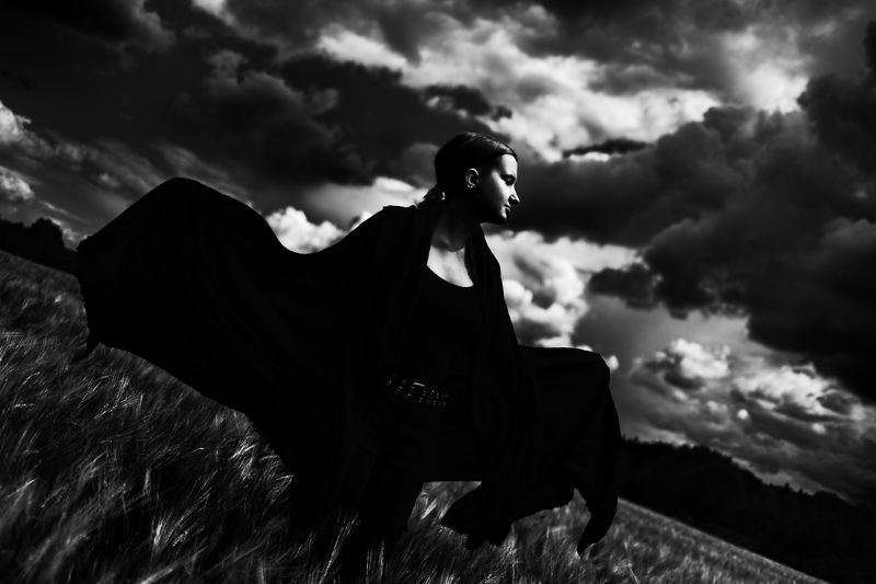 Чёрный лебедь.photo preview