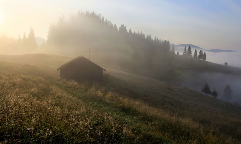 Утренняя свежестьphoto preview